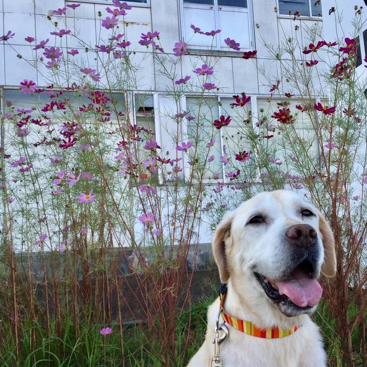 4d5af4a7 4b82 4f17 81cb 430a36eff13f 1566910510192