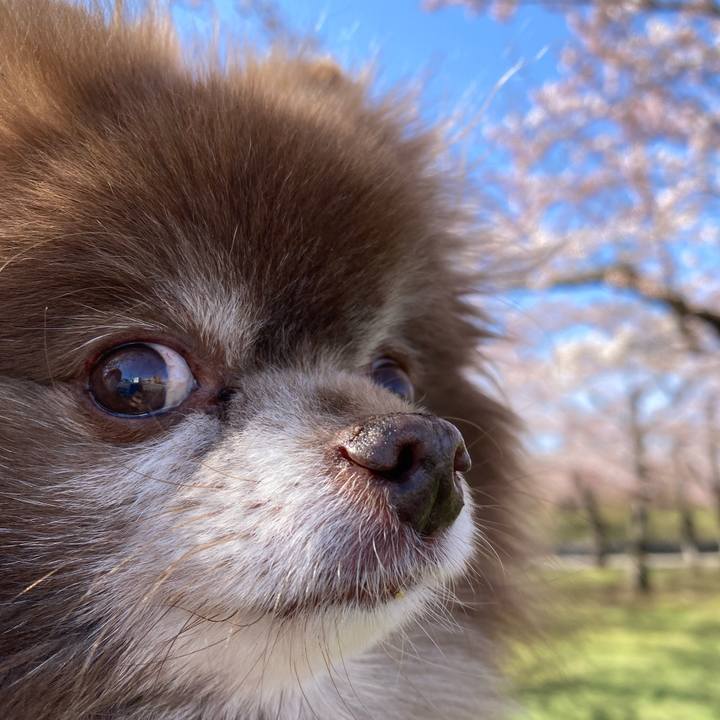 4d5b3d73 d4e0 45fb b6fa 9ef8d670d141 1681778153680