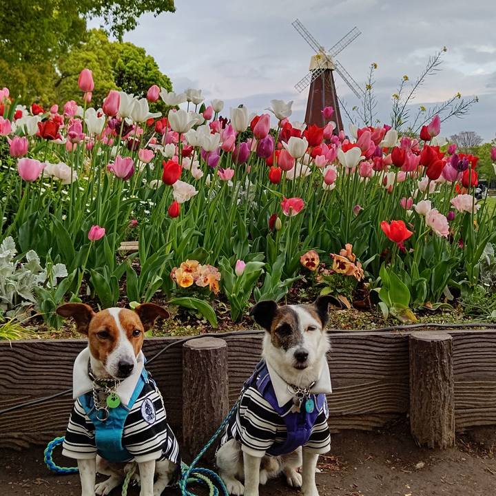 4d5b678e 20ef 4dd4 933e bcf8d603355e 1650199616440