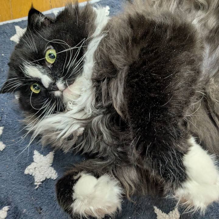 4d5bb0f8 af0e 469a bd59 7ad3f82d4a49 1773263612058