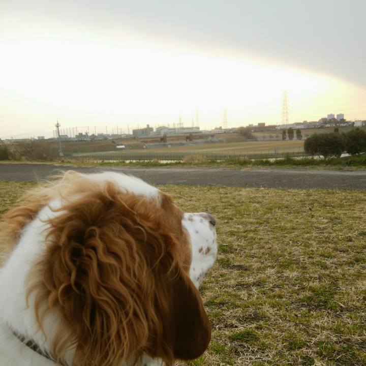 4d5bba04 7d25 4b07 86b3 4ab26d37b3dd 1548410332190