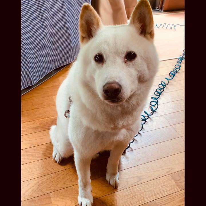 4d5bd7fe 8bbf 4121 a8f4 a1ccec5ab2be 1595716447012