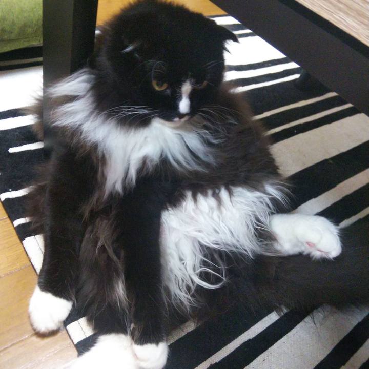 4d5be79b fe2b 4a6b 9bab ddd18f0b7a5f 1657017441630