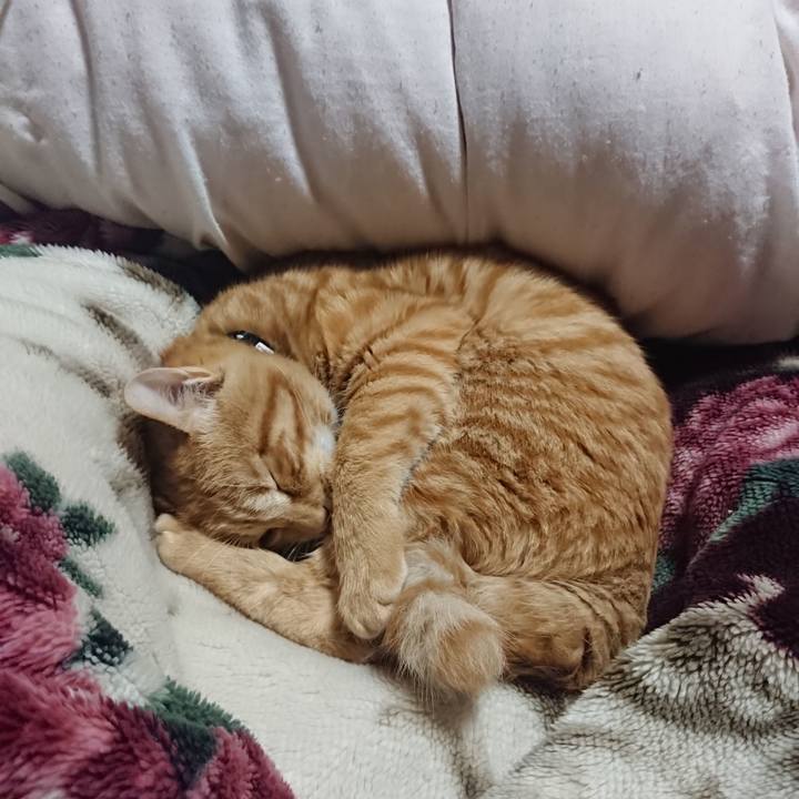 4d5bed38 a173 4ed8 8363 30a663b80886 1639571078196