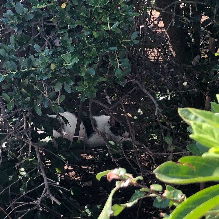 4d5c1106 6c87 41e1 a3bc a69c56e7c89e 1570464760512