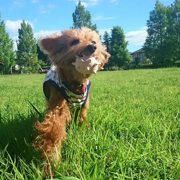 4d5c33d8 00ca 4dec 8dcd f817a28b772c 1533854980045