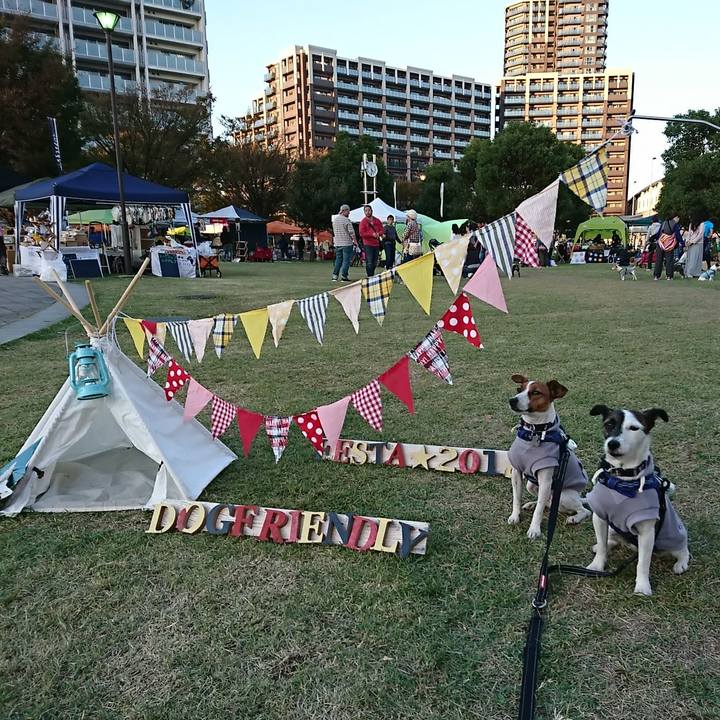 4d5c5d0e 1394 4ae1 be15 44d5e2602e6d 1540111045144