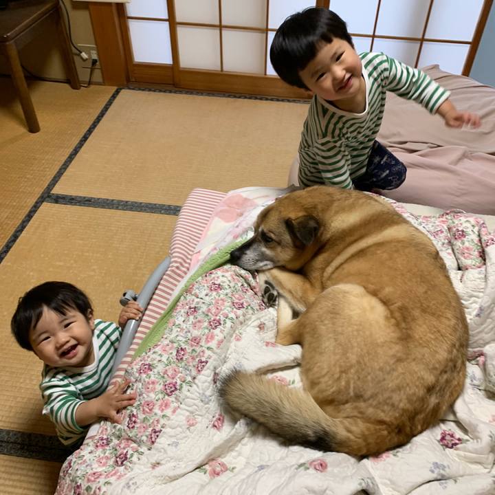 4d5cc7d8 36f4 4437 a969 e9d5769c4561 1553157998994