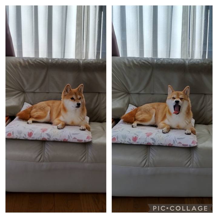 4d5cd399 21c5 47e8 a9bd 84a6418eb2c4 1737183308039