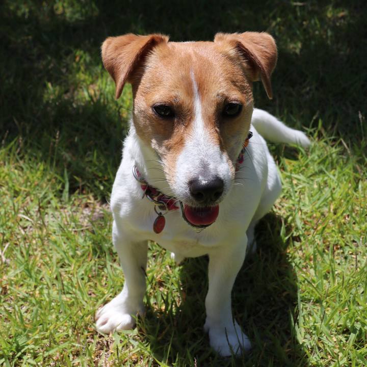 4d5cf26a 2f7f 473d 82a2 461ad8bd2c54 1526793370191