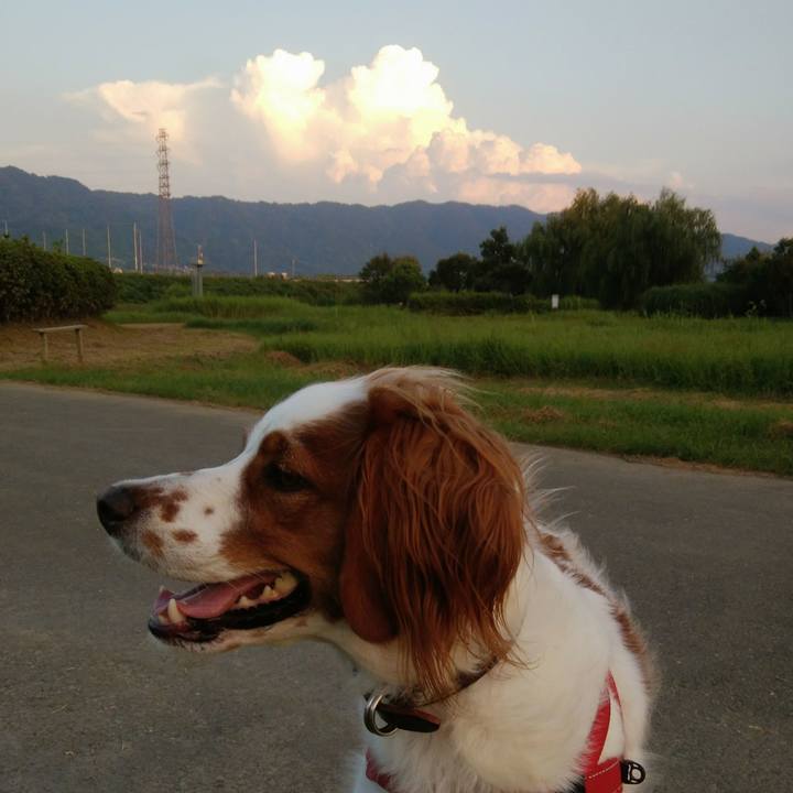 4d5d0839 15b3 4346 8020 d58ec6f704b6 1535544952947