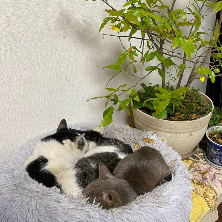 4d5d2386 8340 4f90 b569 e3ffcc9f66e6 1647856673151