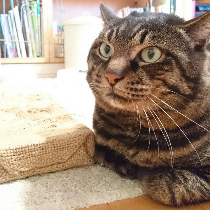 4d5d3ea6 f836 4f9d 9374 2dc91e6b5d78 1512976963165