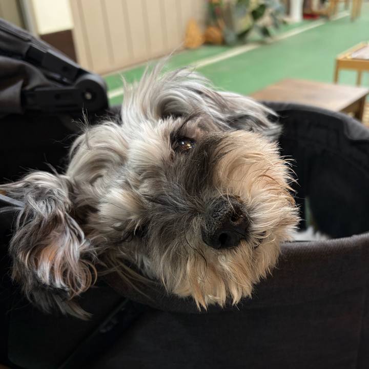 4d5d5632 de5e 4300 b888 8b453cdba559 1773492436859