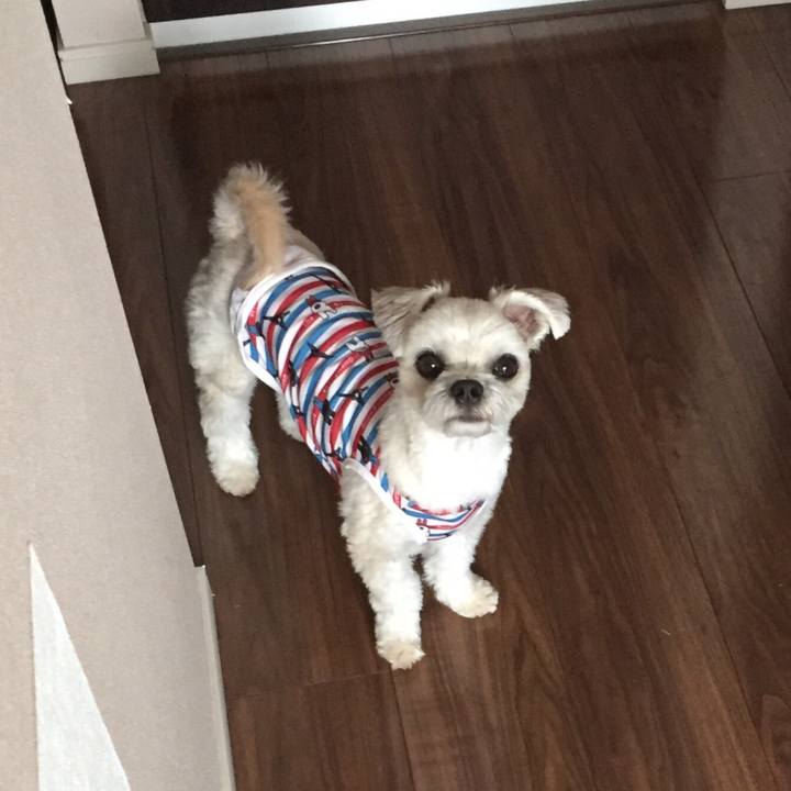 4d5daabd 8a4f 496f 837e 4be70e5d1271 1529035497984