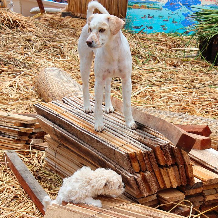 4d5daadc 831d 41bb 921b eb7bde13078a 1535550593072