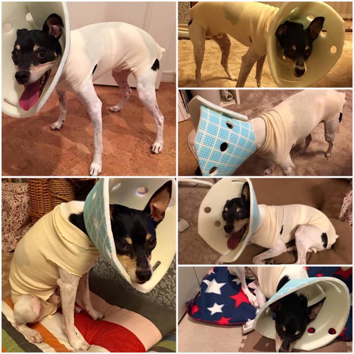 4d5db801 454b 4ed1 89de ad32ad646608 1636805145188