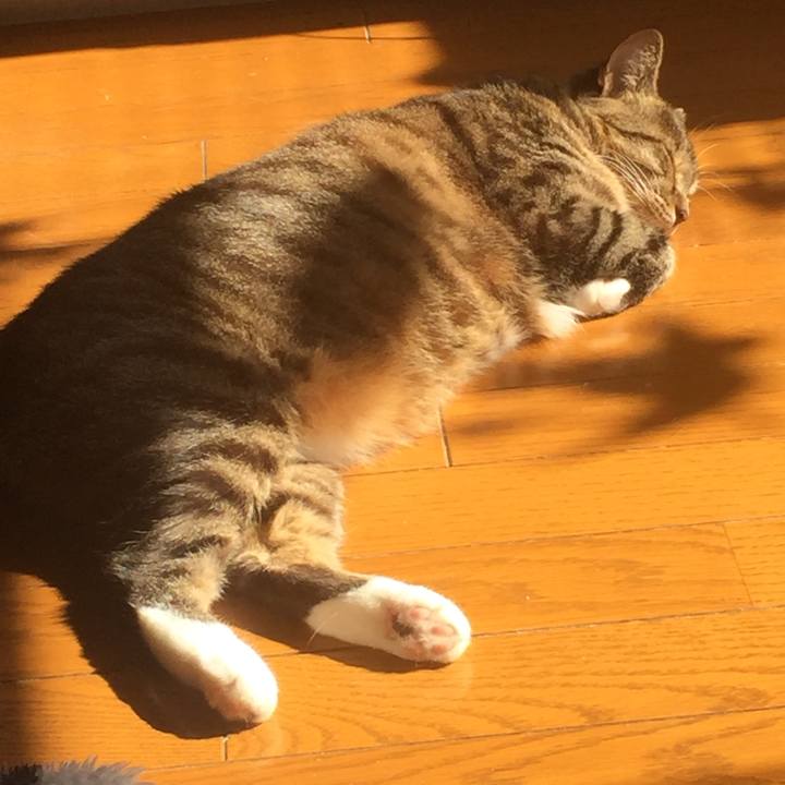 4d5ddda9 d039 4761 a3ee 48b8c422f4a1 1572660444830