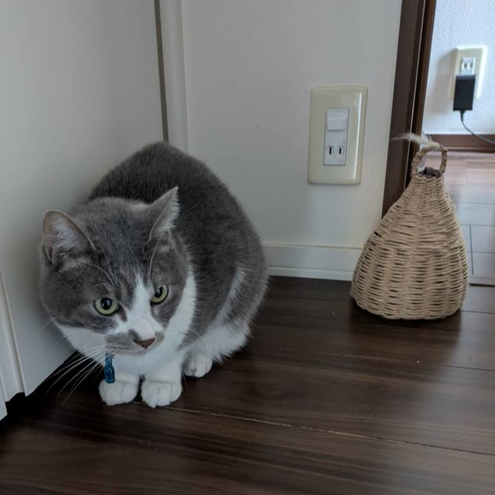 4d5de5af 6755 4388 aa1f c5b1396dfca8 1770432734098