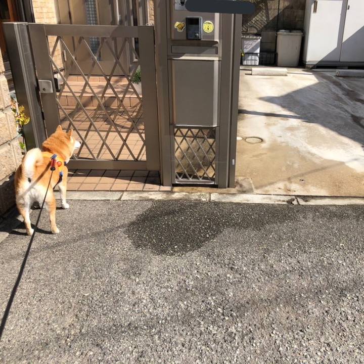 4d5e0059 c142 452f b8bb 1749bff34553 1585028232142