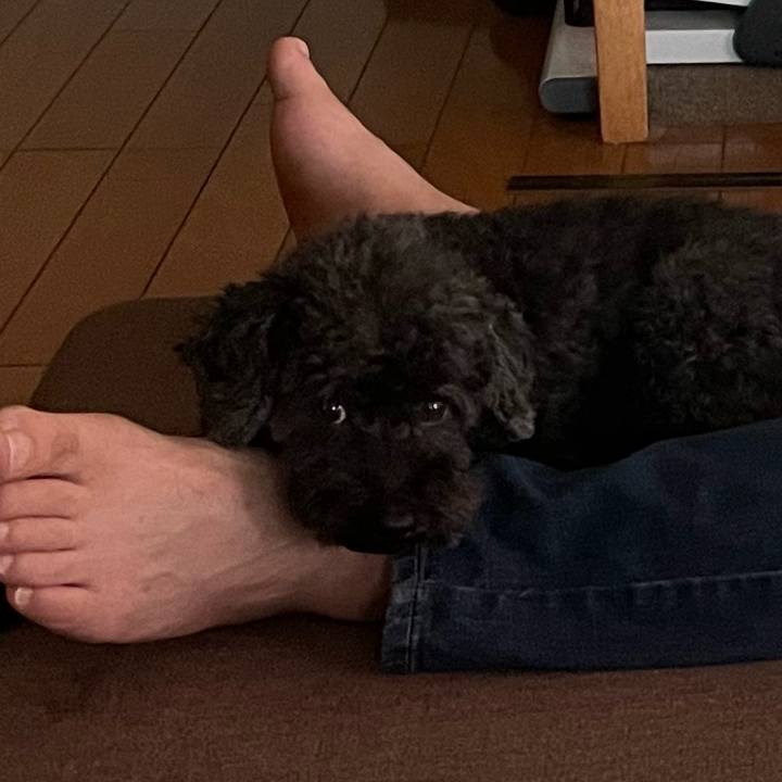 4d5e178c 021d 45b0 9f4f b2e4f3f4826a 1757205591979