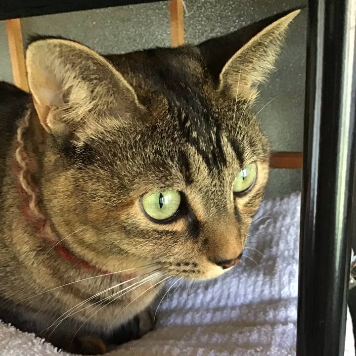 4d5e579e c170 44b5 b4bd bbd4a2a20ba1 1636516654252