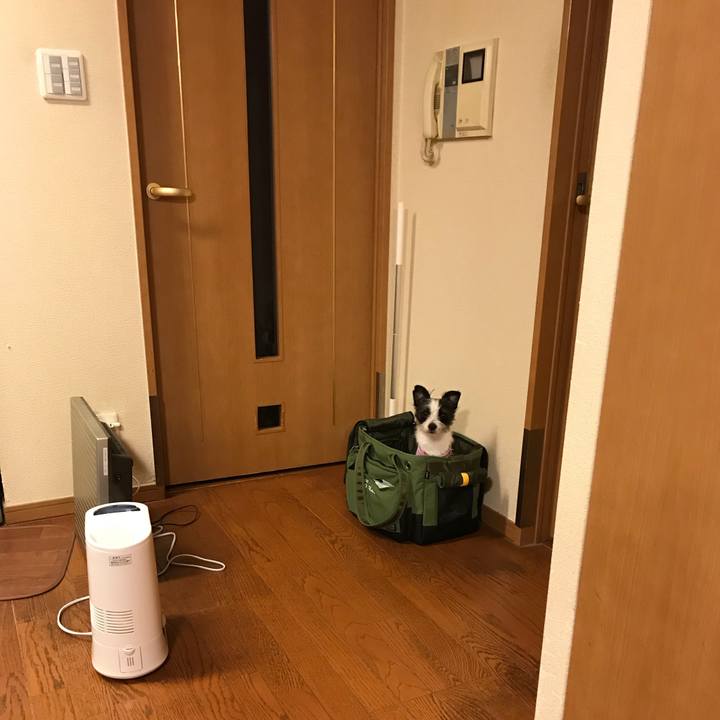 4d5e5a25 6d07 4641 beb5 a3a628e7f456 1520415700251