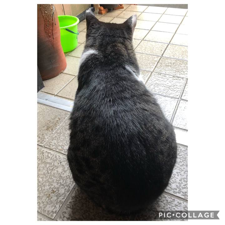 4d5e5a3f 003d 447f b60a 800aa791f3e1 1572008621996