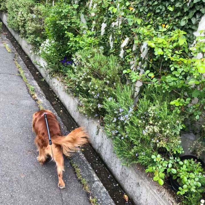 4d5e9078 62c9 460a 86c5 19ec2d3ca5dc 1587681024177