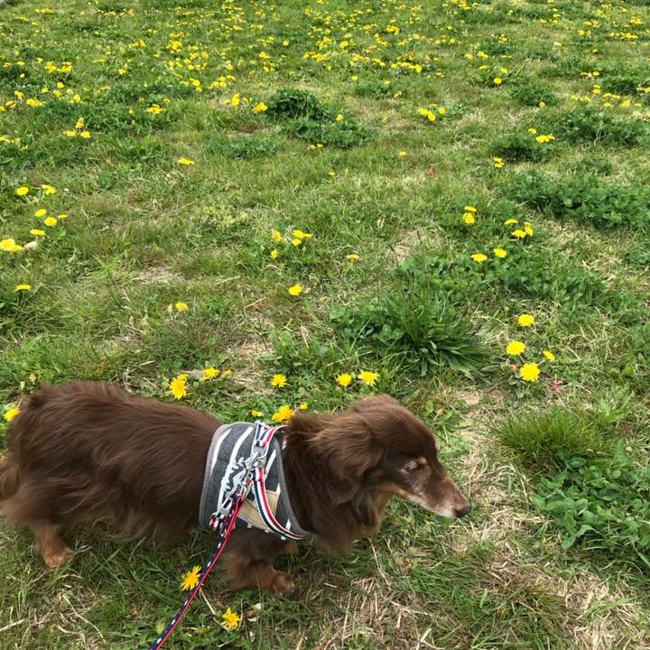 4d5ecbd6 8638 4814 91b0 0e7d92548dc4 1523768114202