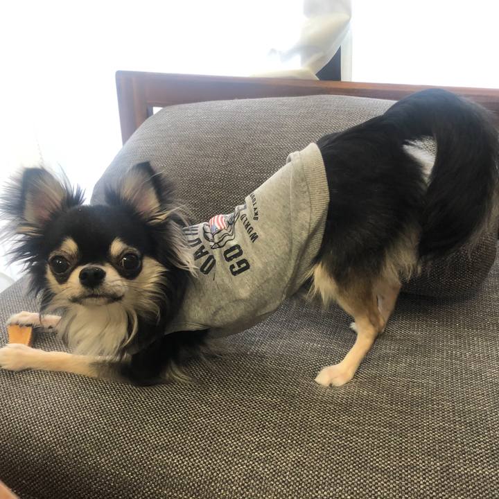 4d5ed332 a510 4ca5 b77e 668e4b270a01 1612660339895