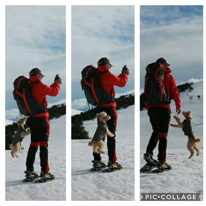 4d5edd1a 37d3 4798 8d5a d085eaf4f807 1581374890072