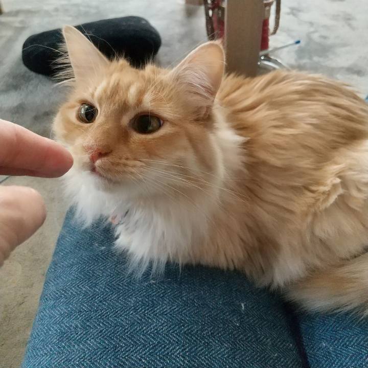 4d5f2e91 0fbe 4d5e afd0 d96e4db21d25 1650073428855