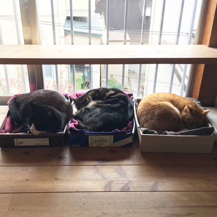 4d5f60a3 df61 4739 a6fb e48fcefbffaa 1553039417865