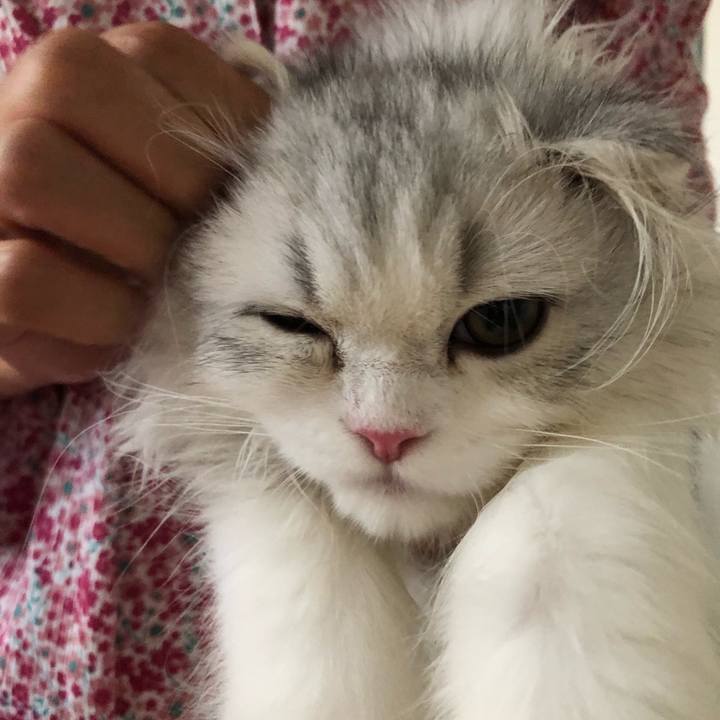 4d5f7b54 ea03 445f a755 43068c27fb47 1597788445707