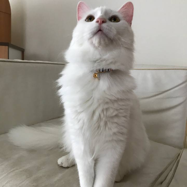 4d5f80d7 f570 4f5b 87d3 ff2d951ea678 1525925294439