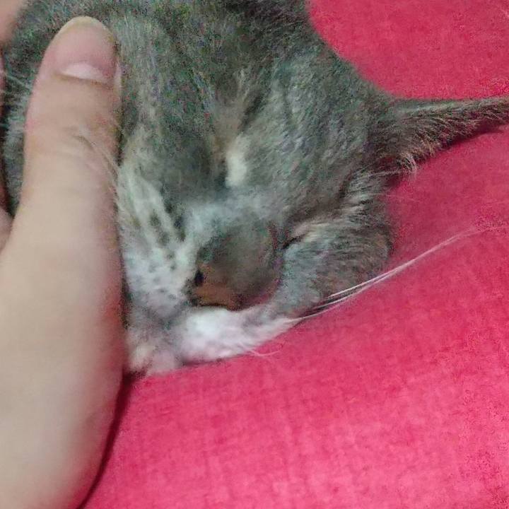 4d5f8de5 6bcb 40d2 a8a7 63bd19671fbf 1634568411850