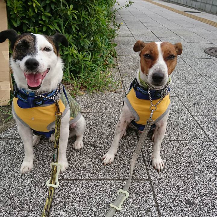 4d5f9c9e 5cd7 483b b3f2 a8931920bbd0 1596841632598