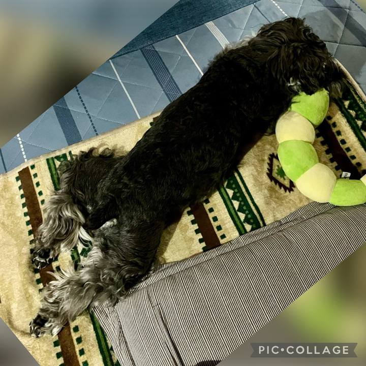 4d5fa653 6819 4d4a 9f37 74160cc86e4d 1716819235776