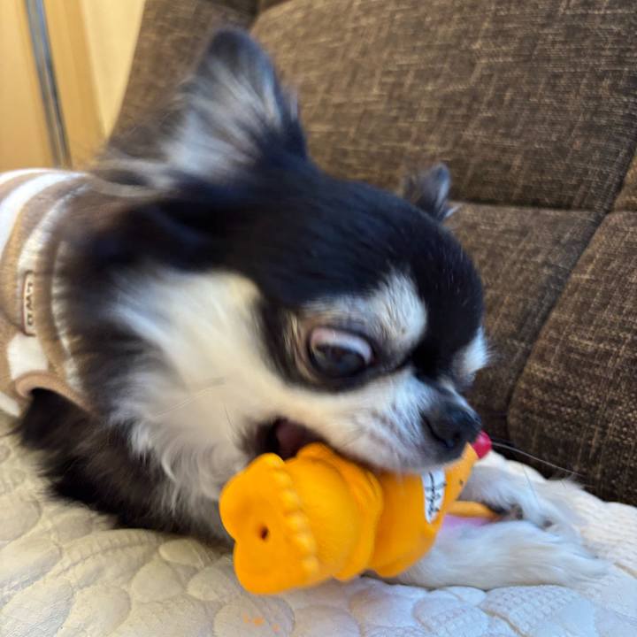 4d5fae96 bb40 40c7 9236 59a52a300bbe 1741536564853