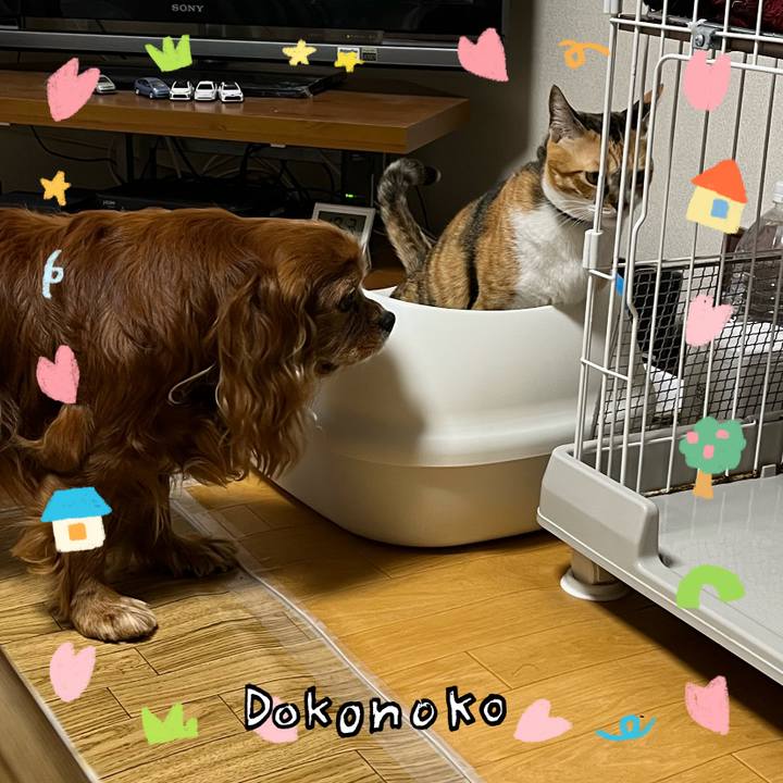 4d5fbe8a 6f3a 413a a4a5 5c3bb95f6403 1741267401723