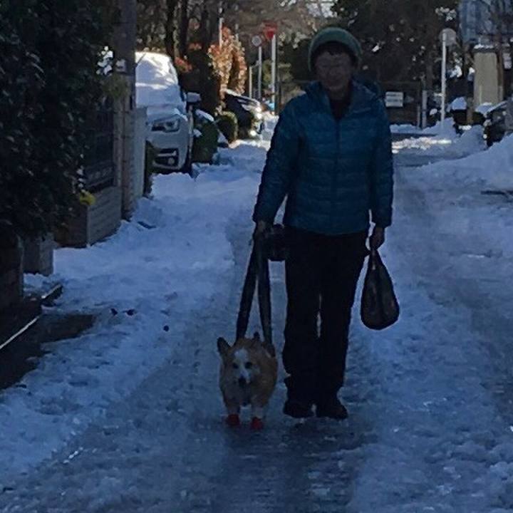 4d5fcbbe 3afb 4a72 a82e 87769f53346d 1644461959459