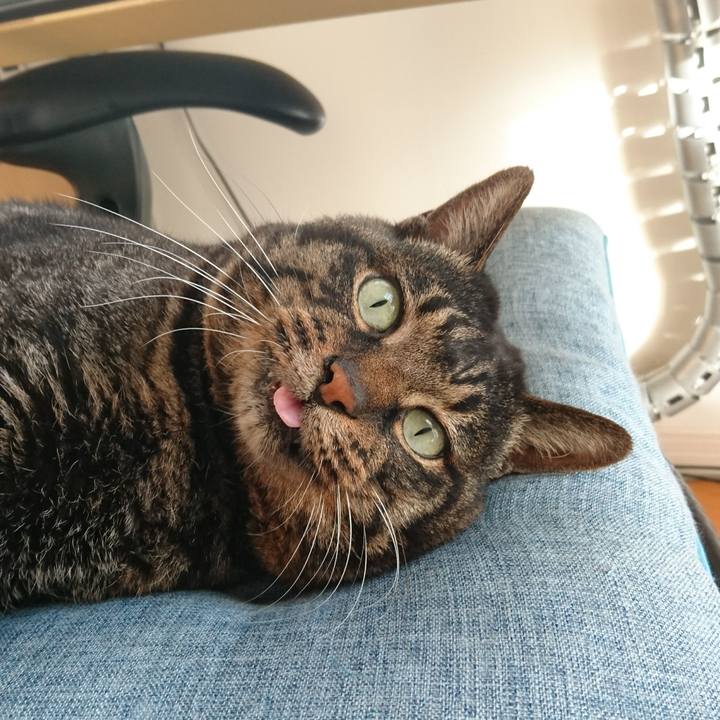 4d5ff6e3 f757 40ae 879e 6c6bad856220 1579161924494