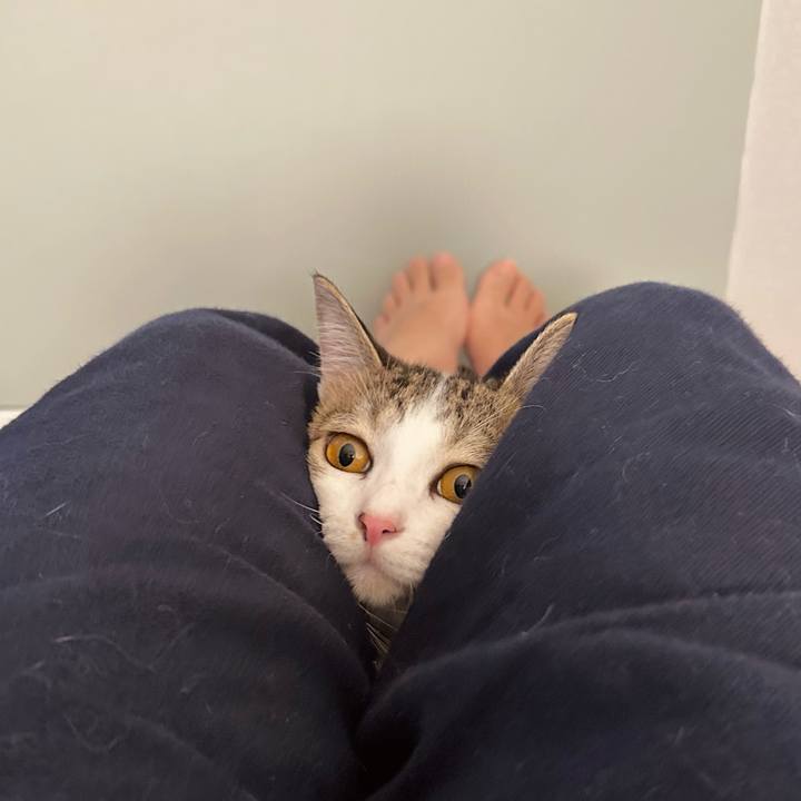 4d60058f f1a8 45dc b7c4 5765bee47f45 1759548627374