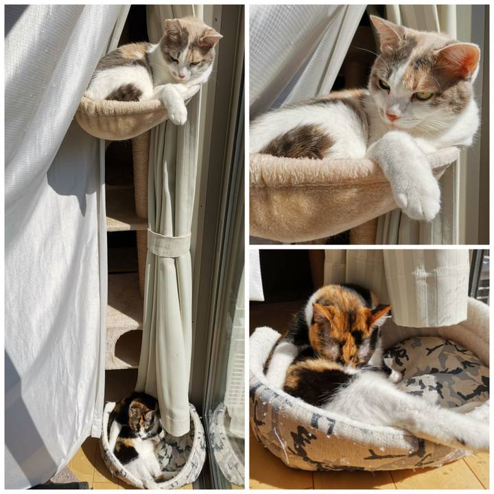 4d600d98 5842 42c8 86ff d876b92f28f3 1680927226499