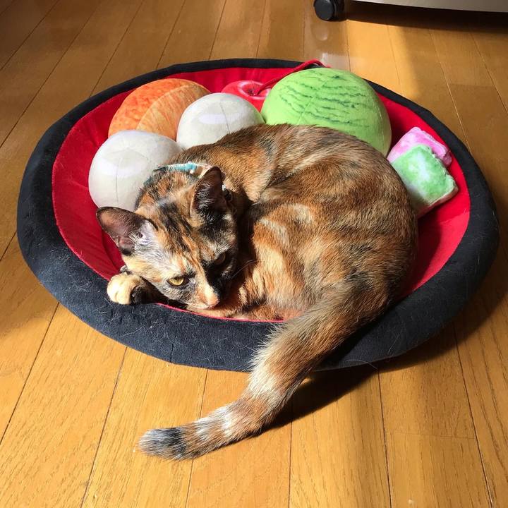 4d605ac9 af0a 46de 888c d2e68a325b4d 1625713739686