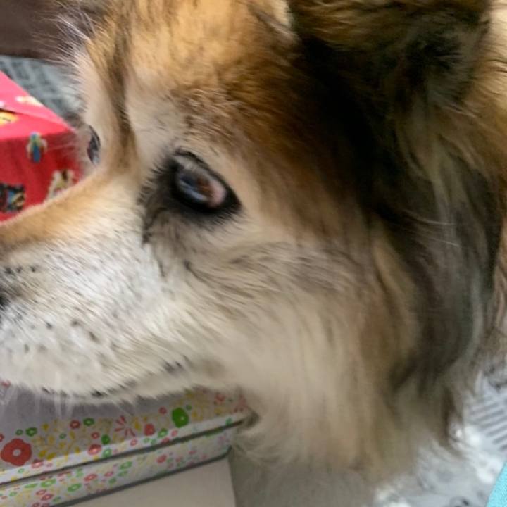 4d605c6a 7ab9 40c8 a998 6cdeb8a4de7e 1638758530379