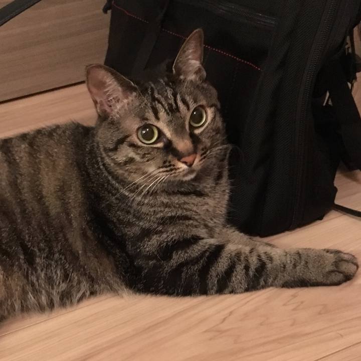 4d60996b 0bbd 40d6 af88 3b2ea42ba249 1559476370365