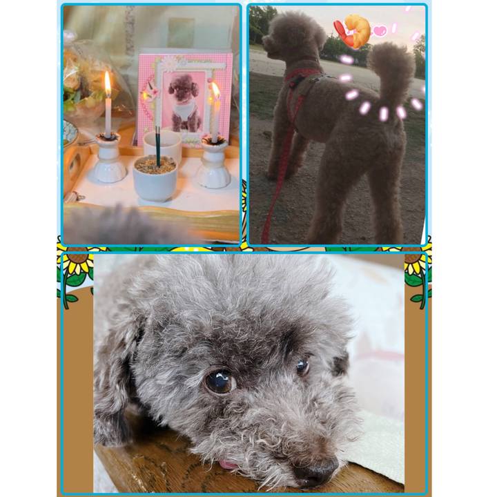 4d60b3f5 a0ef 41dc ae53 831b69aa6e32 1691968762361