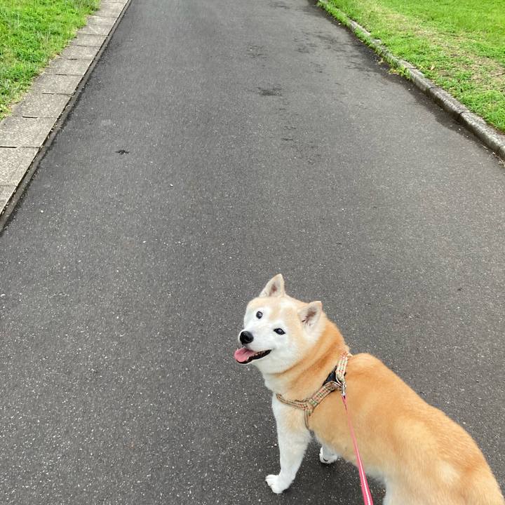 4d612efc 5399 4b4a 8832 3b092930646a 1698940109691